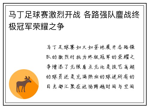 马丁足球赛激烈开战 各路强队鏖战终极冠军荣耀之争