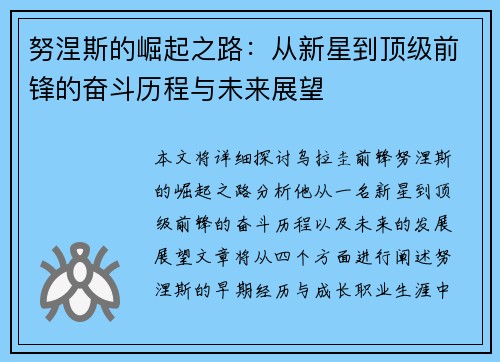 努涅斯的崛起之路：从新星到顶级前锋的奋斗历程与未来展望