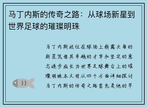 马丁内斯的传奇之路：从球场新星到世界足球的璀璨明珠