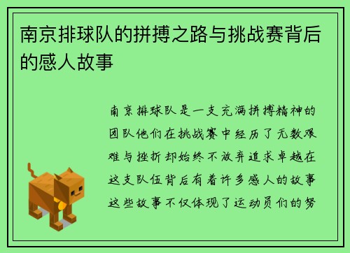 南京排球队的拼搏之路与挑战赛背后的感人故事