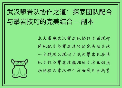 武汉攀岩队协作之道：探索团队配合与攀岩技巧的完美结合 - 副本